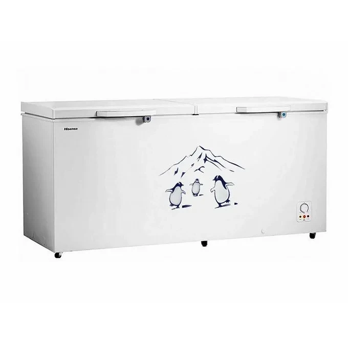 Hisense 660L Chest Freezer | Massive Storage, Energy Efficient